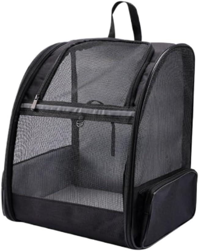 花組 宝塚大劇場公演 Musical 愛と革命の詩(うた)-アンドレア・シェニ